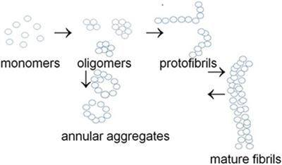 Pore-Forming Proteins as Mediators of Novel Epigenetic Mechanism of Epilepsy